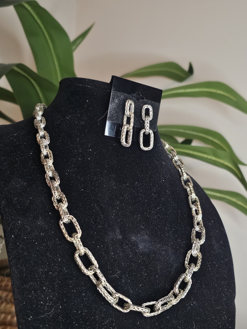 Etienne Aigner Silver-Tone Braided Link Necklace & Earrings Set